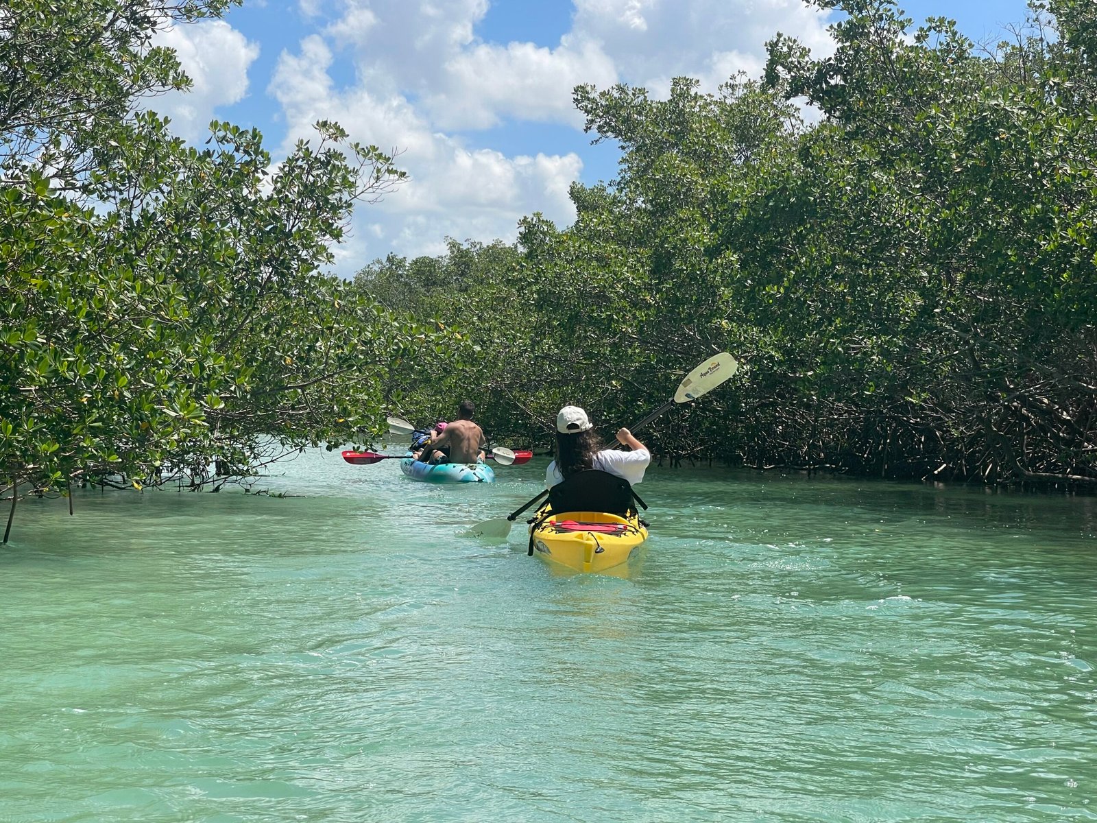 Kayaking through a mangrove channel